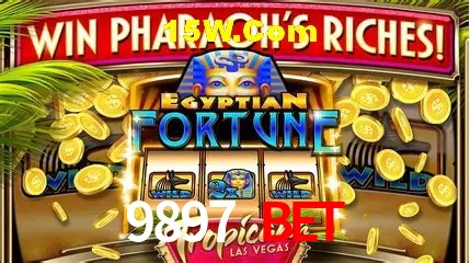 A Experiência Imersiva dos Cassinos Ao Vivo no 9897 Bet